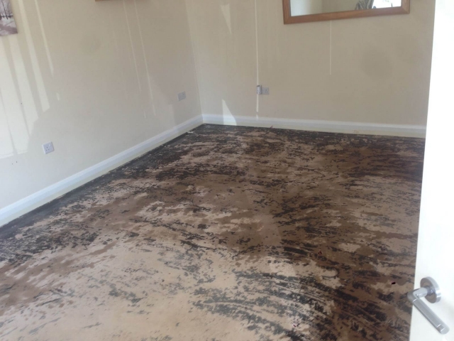 The existing sub floor was asphalt so we used Ardex NA screed to obtain a smooth floor.